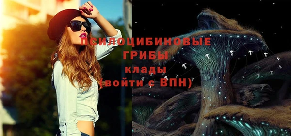 марки lsd Инта
