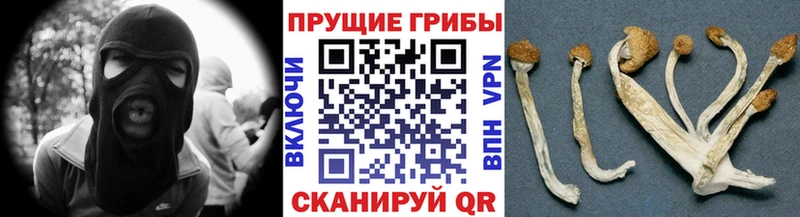OMG рабочий сайт  Лесосибирск  Галлюциногенные грибы Cubensis 